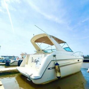 15‑Passenger Executive Lagoon Cruiser